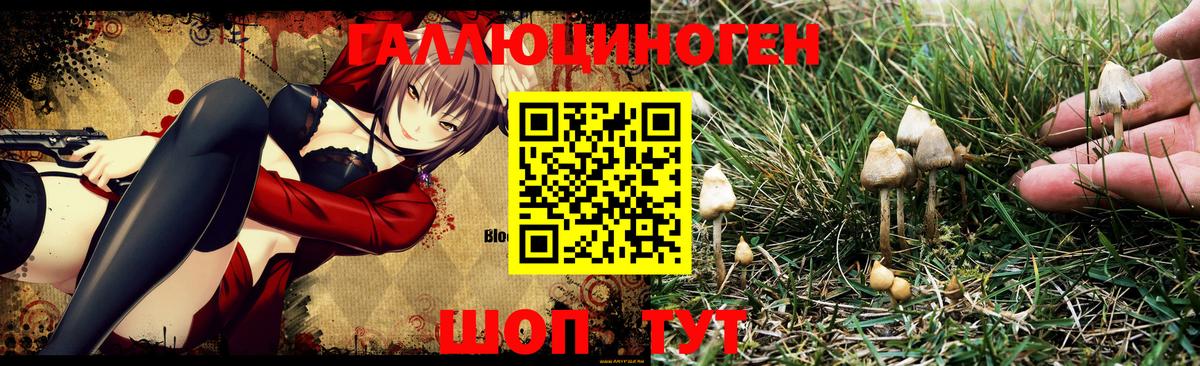 Галлюциногенные грибы MAGIC MUSHROOMS Семёнов