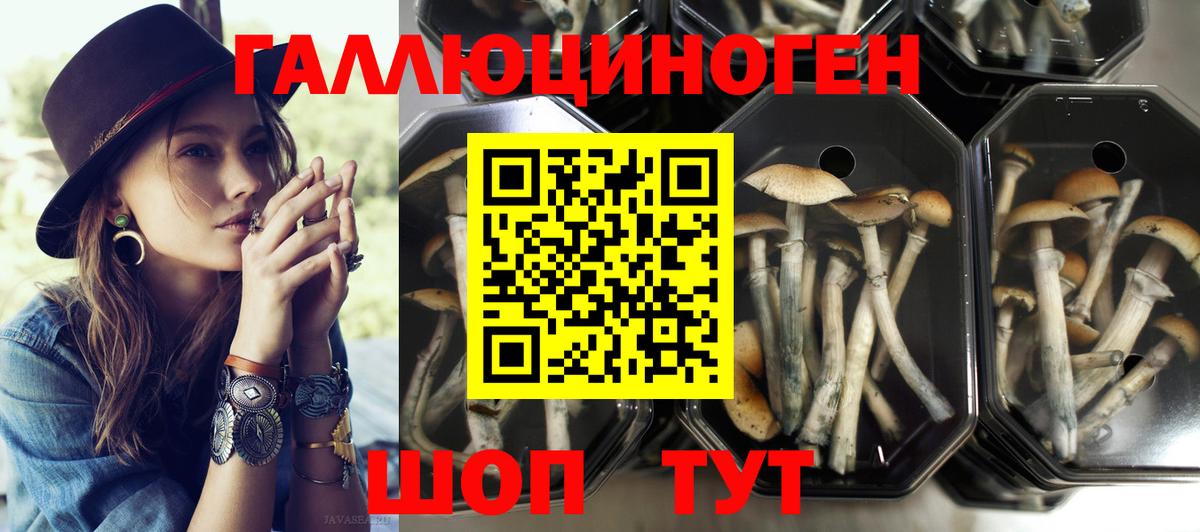 Семёнов  Галлюциногенные грибы прущие грибы  Вход с VPN 